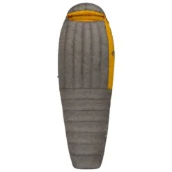 Sac De Couchage Sea To Summit Spark SP2 Grey