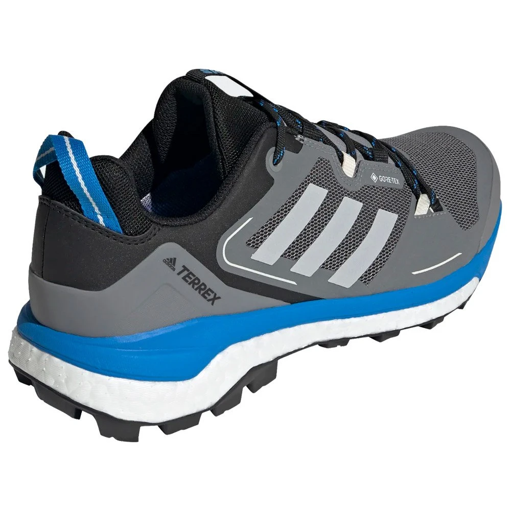 Chaussures De Fast Hiking Adidas Terrex Skychaser 2 Gtx Grethr Gretwo Blurus – Image 3